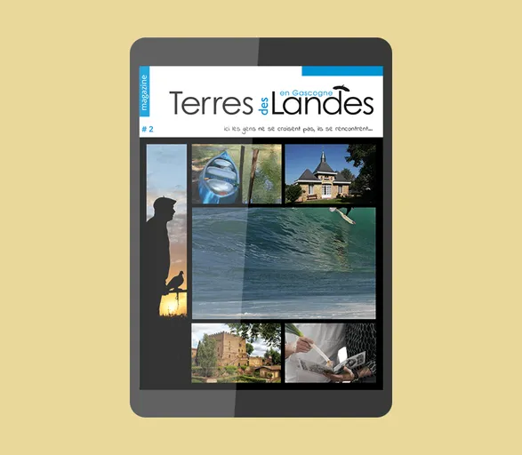 Magazine digital territorial
