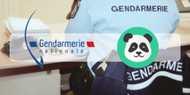 National Gendarmerie: Equip the Gendarmes to Simply Create Professional Apps